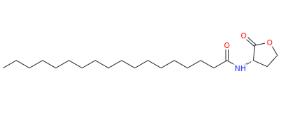 CAS：479050-96-9,英文名称：N-[(3S)-TETRAHYDRO-2-OXO-3-FURANYL]-OCTADECANAMIDE 