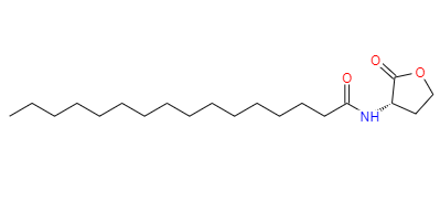CAS：87206-01-7,英文名称：N-hexadecanoyl-L-Homoserinelactone 