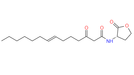 CAS：482598-46-9,英文名称：N-3-oxo-tetradec-7(Z)-enoyl-L-Homoserine lactone 