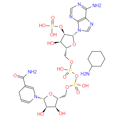 CAS： 100929-71-3，英文名称：NADPH(tetracyclohexanamine) 