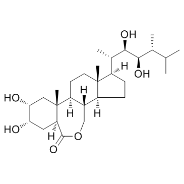 CAS： 78821-43-9，中文名称： 24-表油菜素内酯 英文名称：24-Epicastasterone 