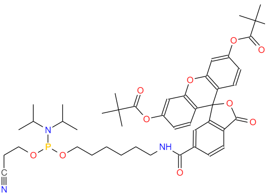 CAS： 204697-37-0，中文名称： 5'-荧光素氨基磷酸酯 (6-FAM) 英文名称：5'(6)-FAM; 5'-Fluorescein Phosphoramidite 