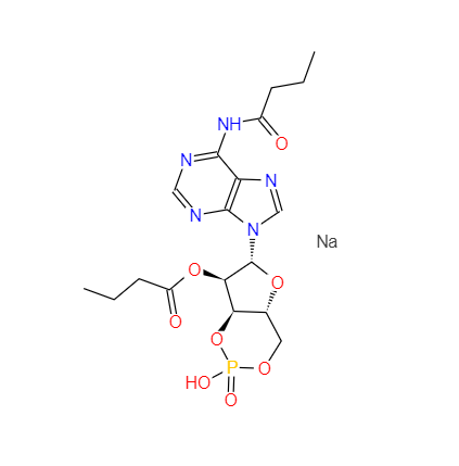 CAS：16980-89-5，N6,2′-O-二丁酰基腺苷 3′,5′-环单磷酸 钠盐 