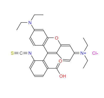 CAS：36877-69-7，异硫氰酸罗丹明B 