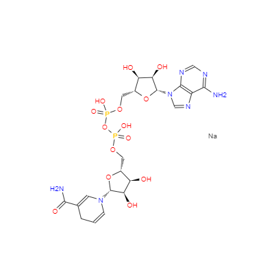 CAS： 606-68-8， Beta-烟酰胺腺嘌呤二核苷二钠