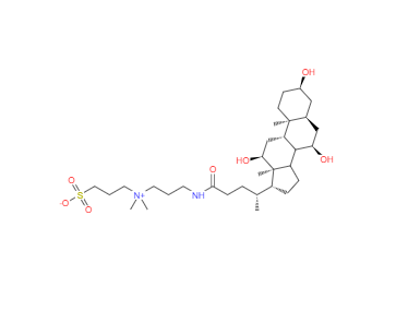 CAS：75621-03-3，3-[3-(胆酰胺丙基)二甲氨基]丙磺酸内盐