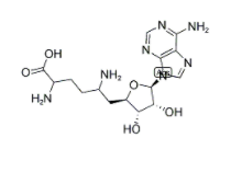 CAS：58944-73-3，西奈芬净 