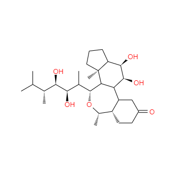 CAS：78821-43-9，24-表油菜素内酯