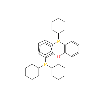 CAS：434336-16-0，双(二环己基膦基苯基)醚
