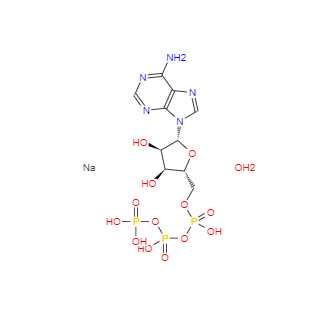 CAS：34369-07-8，腺苷-5'-三磷酸二钠盐,水合物 