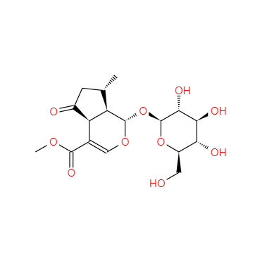 CAS：548-37-8，马鞭草苷 