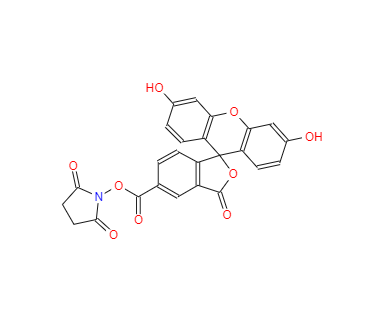 CAS：92557-80-7，5-羧基荧光素琥珀酰亚胺酯 