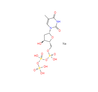 CAS：27821-54-1，胸苷-5'-三磷酸三钠盐 