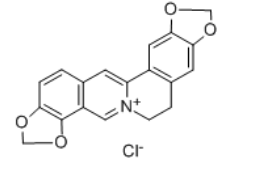 CAS：6020-18-4，盐酸黄连碱