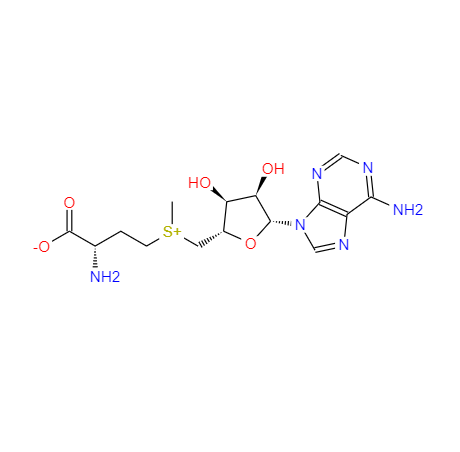 CAS：29908-03-0，S-腺苷-L-蛋氨酸 