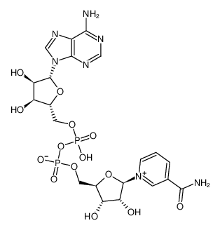 CAS：53-84-9,英文名称：β-NICOTINAMIDE ADENINE DINUCLEOTIDE 