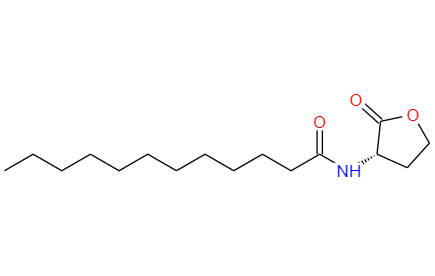 CAS：137173-46-7,中文名称：N-十二烷酰-L-高丝氨酸内酯 英文名称：N-Dodecanoyl-L-homoserine lactone 