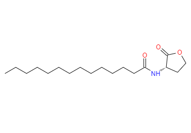 CAS：202284-87-5,中文名称：十四烷基-L-高丝氨酸内酯 英文名称：N-tetradecanoyl-L-Homoserine lactone 