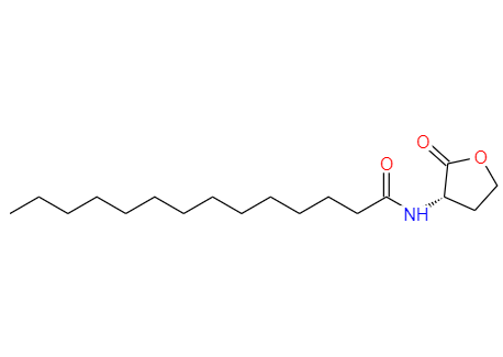  CAS：202284-87-5,中文名称：十四烷基-L-高丝氨酸内酯 英文名称：N-tetradecanoyl-L-Homoserine lactone