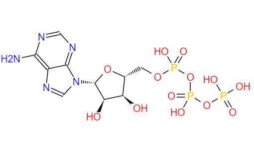 CAS： 56-65-5，中文名称： 三磷酸腺苷 英文名称：Adenosine triphosphate 