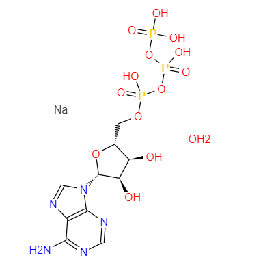 CAS： 34369-07-8，中文名称： 腺苷-5′-三磷酸二钠盐，（无钙） 英文名称：5'-ATP-Na2 
